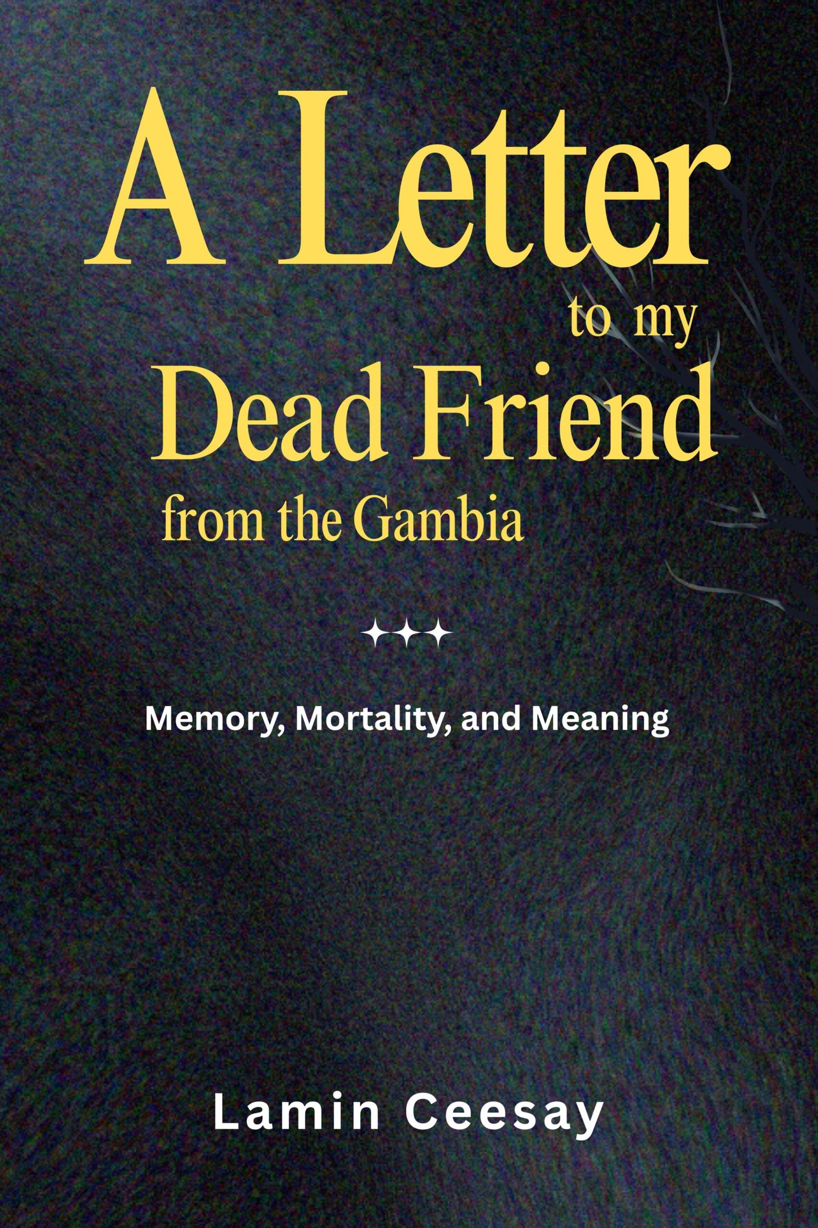 A LETTER TO MY DEAD FRIEND from the gambia memory maortality and meaning