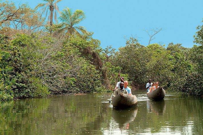 Gambian river cruising