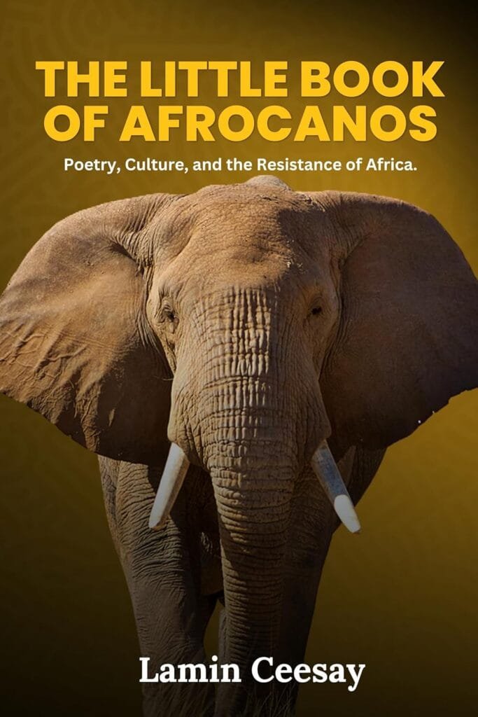 Book cover for The Little Book of Afrocanos